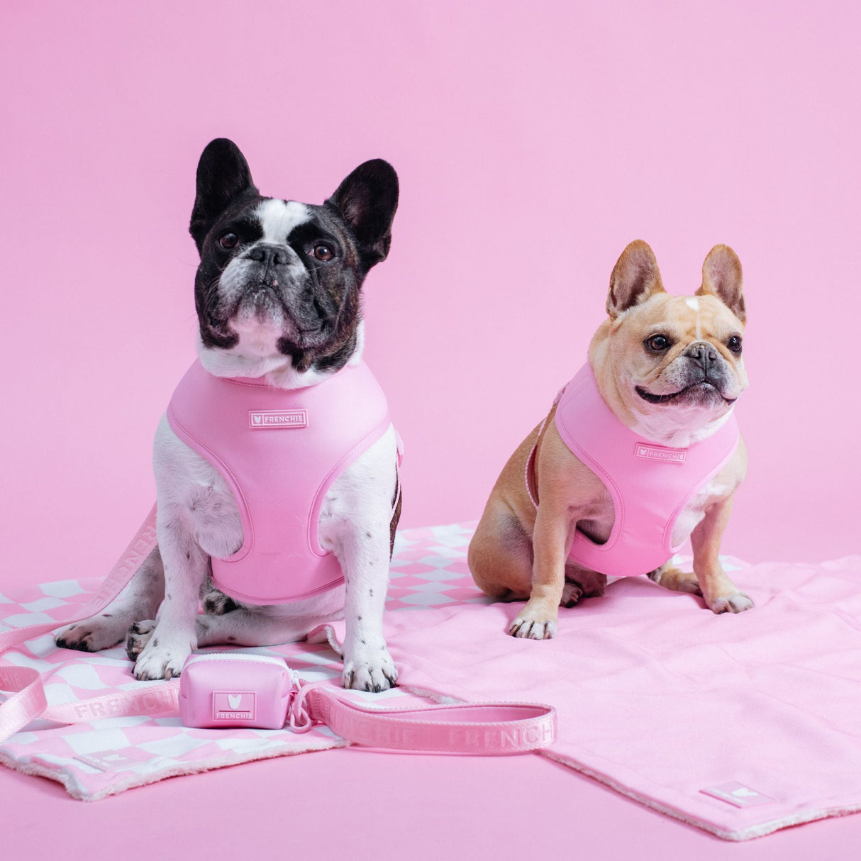 Frenchie Duo Reversible Harness - Pink Bubblegum from Frenchie Bulldog