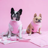 Frenchie Duo Reversible Harness - Pink Bubblegum from Frenchie Bulldog