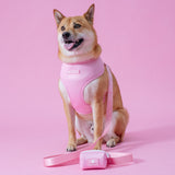 Frenchie Duo Reversible Harness - Pink Bubblegum from Frenchie Bulldog