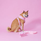 Frenchie Comfort Leash - Pink Bubblegum from Frenchie Bulldog