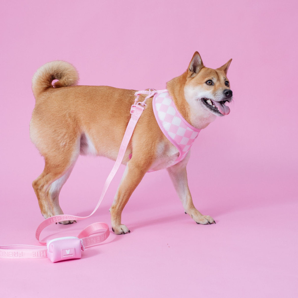 Frenchie Duo Reversible Harness - Pink Bubblegum from Frenchie Bulldog