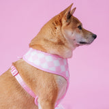 Frenchie Duo Reversible Harness - Pink Bubblegum from Frenchie Bulldog