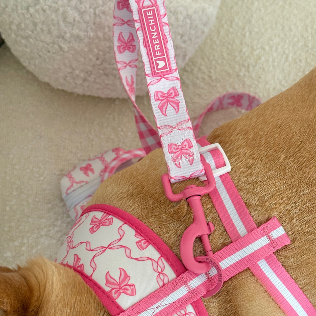 Frenchie Comfort Leash - Pink Bows from Frenchie Bulldog