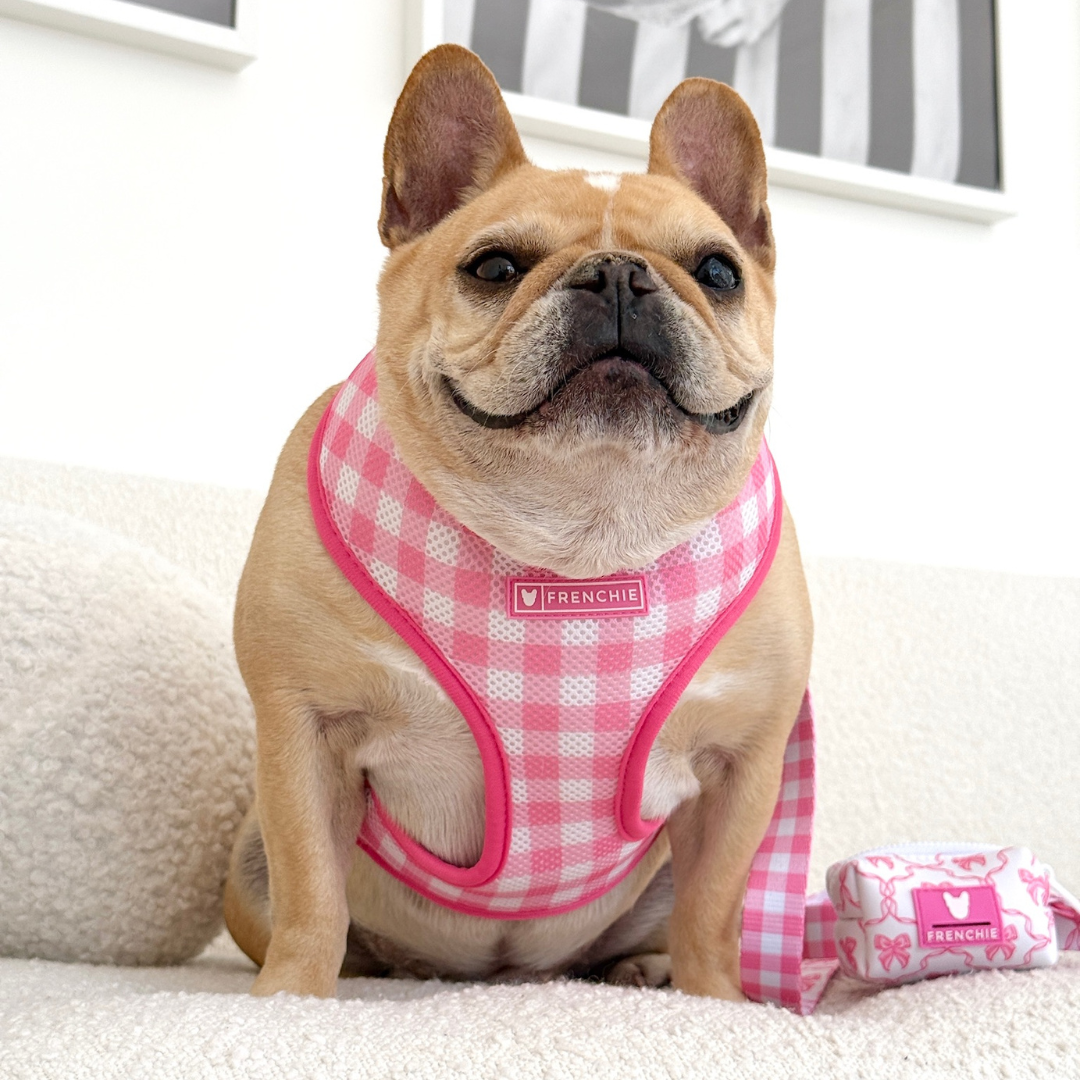 Frenchie Poo Bag Holder - Pink Bows from Frenchie Bulldog