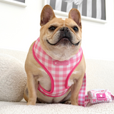 Frenchie Duo Reversible Harness - Pink Bows from Frenchie Bulldog