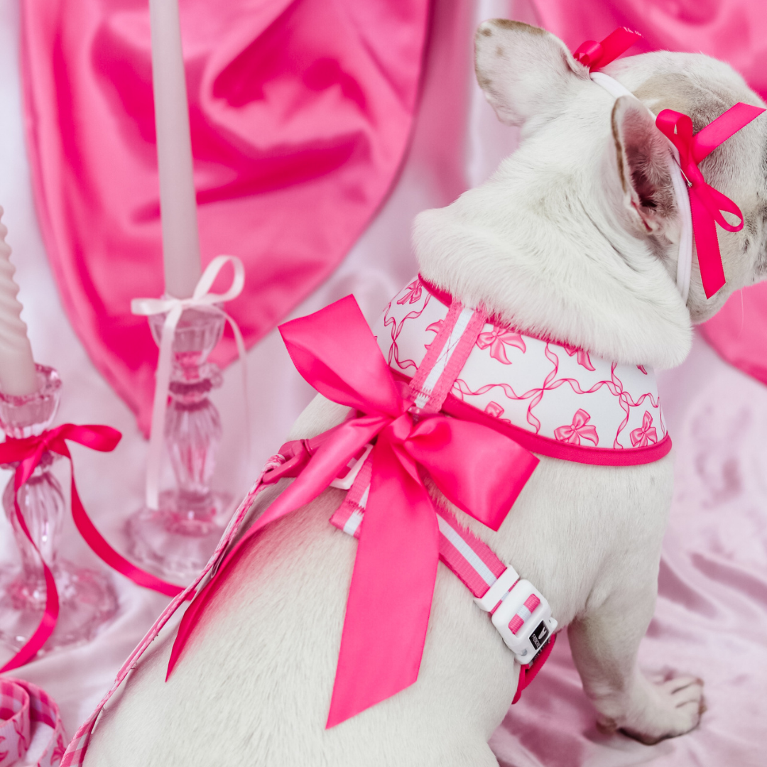 Frenchie Duo Reversible Harness - Pink Bows from Frenchie Bulldog