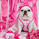 Frenchie Duo Reversible Harness - Pink Bows from Frenchie Bulldog
