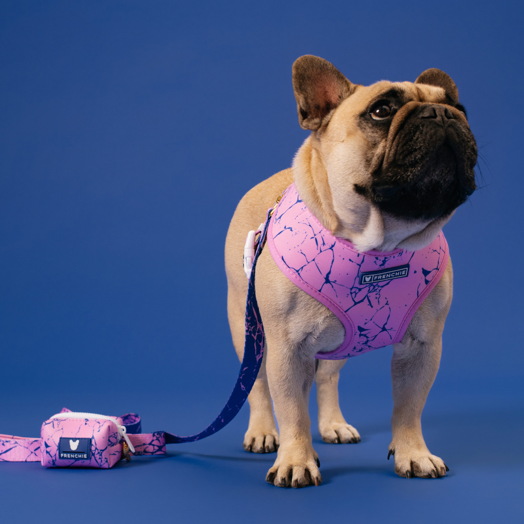 Frenchie Duo Reversible Harness - Pink Marble from Frenchie Bulldog