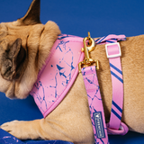 Frenchie Duo Reversible Harness - Pink Marble from Frenchie Bulldog