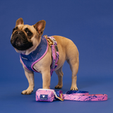 Frenchie Duo Reversible Harness - Pink Marble from Frenchie Bulldog
