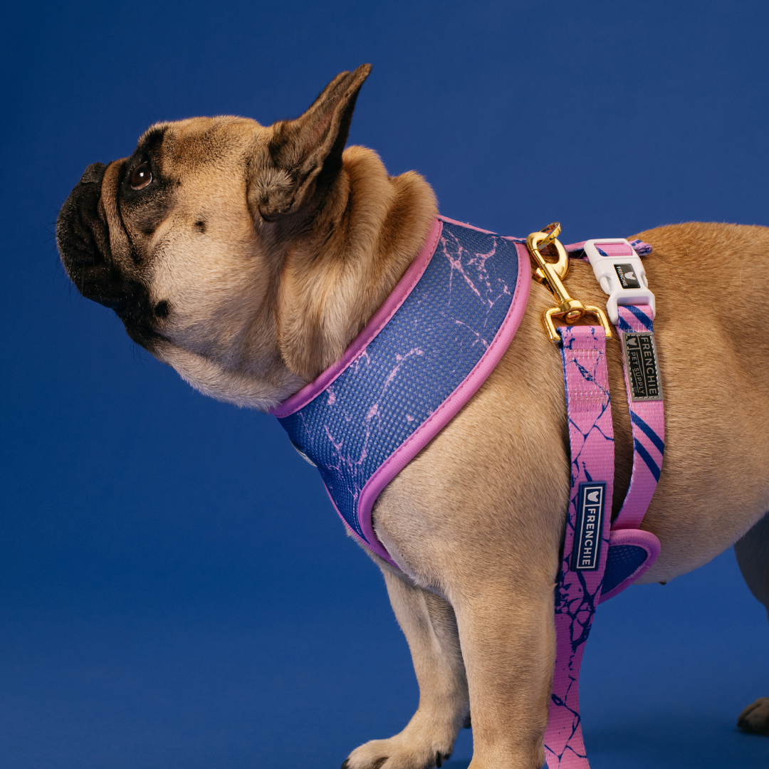 Frenchie Duo Reversible Harness - Pink Marble from Frenchie Bulldog