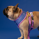 Frenchie Duo Reversible Harness - Pink Marble from Frenchie Bulldog