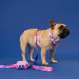 Frenchie Strap Harness - Pink Marble from Frenchie Bulldog