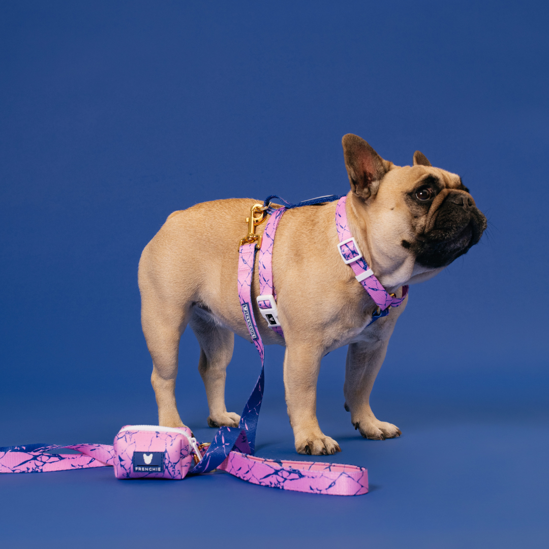 Frenchie Comfort Leash - Pink Marble from Frenchie Bulldog