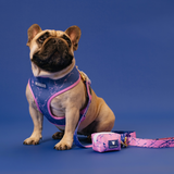 Frenchie Duo Reversible Harness - Pink Marble from Frenchie Bulldog
