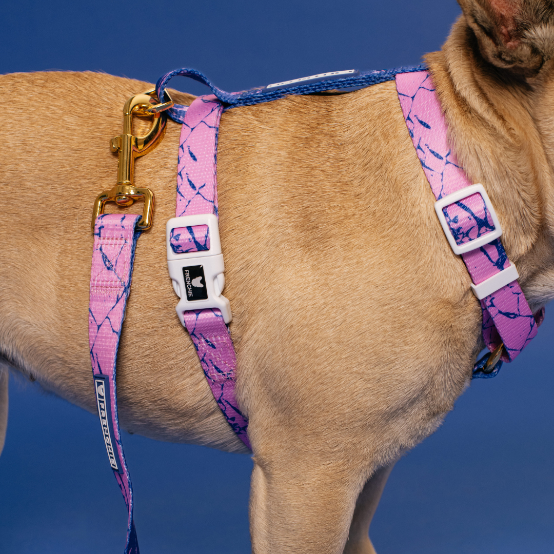 Frenchie Strap Harness - Pink Marble from Frenchie Bulldog