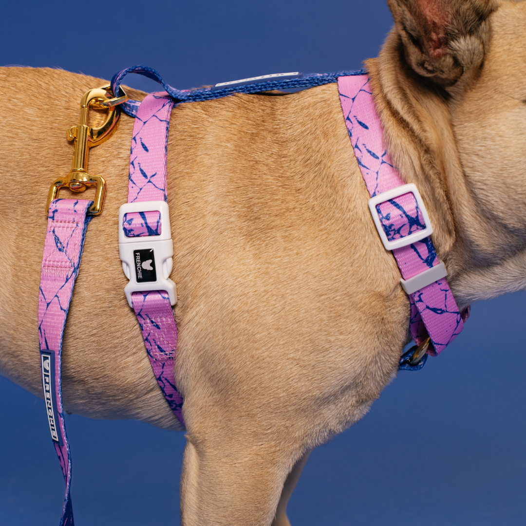 Frenchie Strap Harness - Pink Marble from Frenchie Bulldog