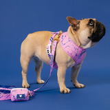 Frenchie Duo Reversible Harness - Pink Marble from Frenchie Bulldog
