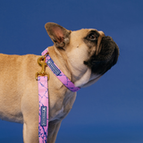 Frenchie Comfort Collar - Pink Marble from Frenchie Bulldog