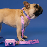 Frenchie Comfort Collar - Pink Marble from Frenchie Bulldog