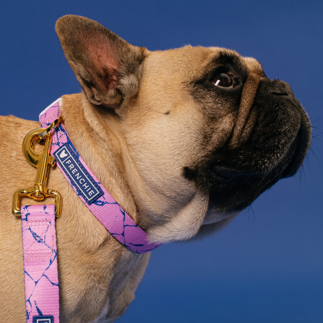 Frenchie Comfort Collar - Pink Marble from Frenchie Bulldog