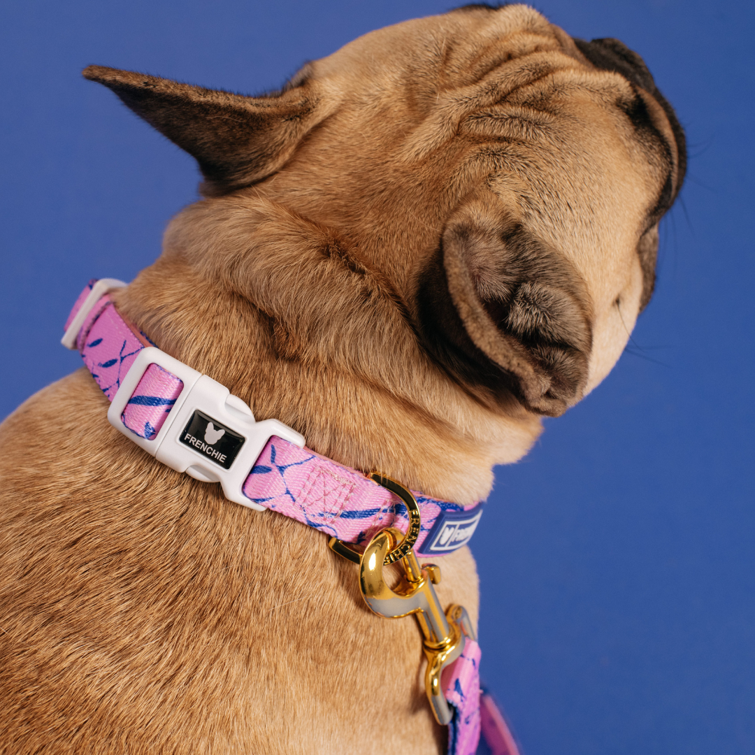 Frenchie Comfort Collar - Pink Marble from Frenchie Bulldog