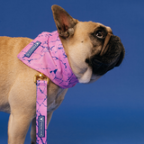 Frenchie Cooling Bandana - Pink Marble from Frenchie Bulldog