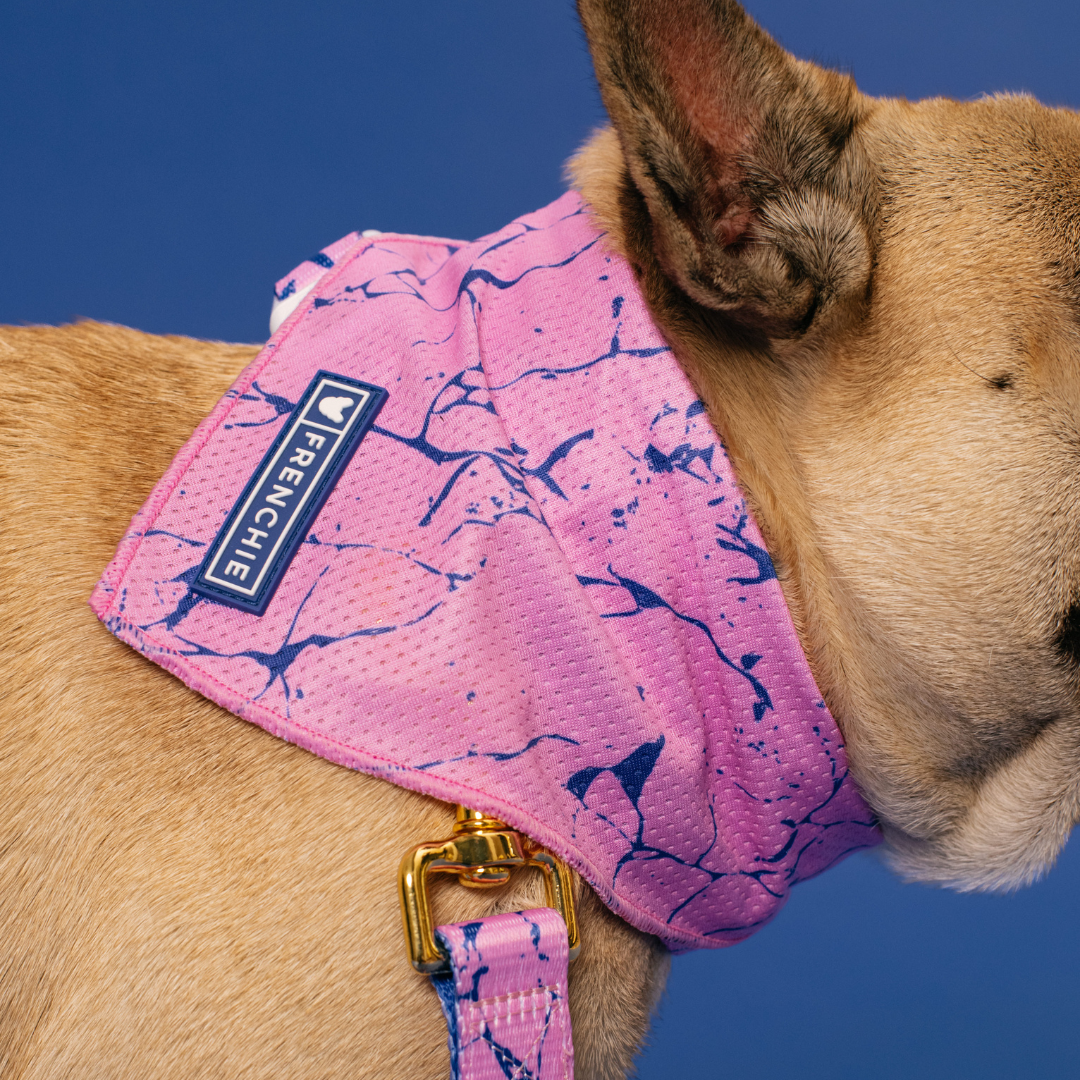 Frenchie Cooling Bandana - Pink Marble from Frenchie Bulldog