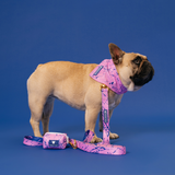 Frenchie Cooling Bandana - Pink Marble from Frenchie Bulldog