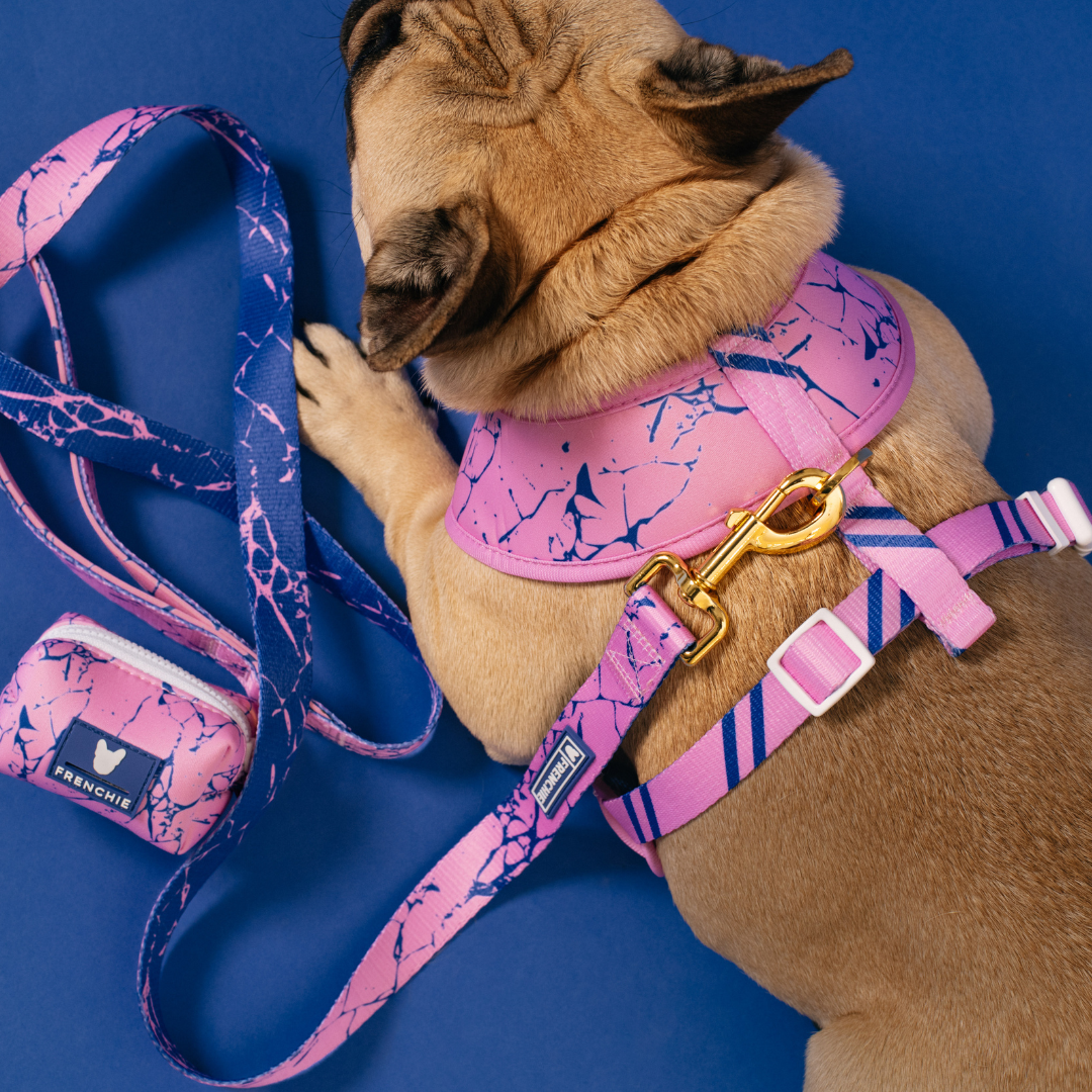 Frenchie Duo Reversible Harness - Pink Marble from Frenchie Bulldog