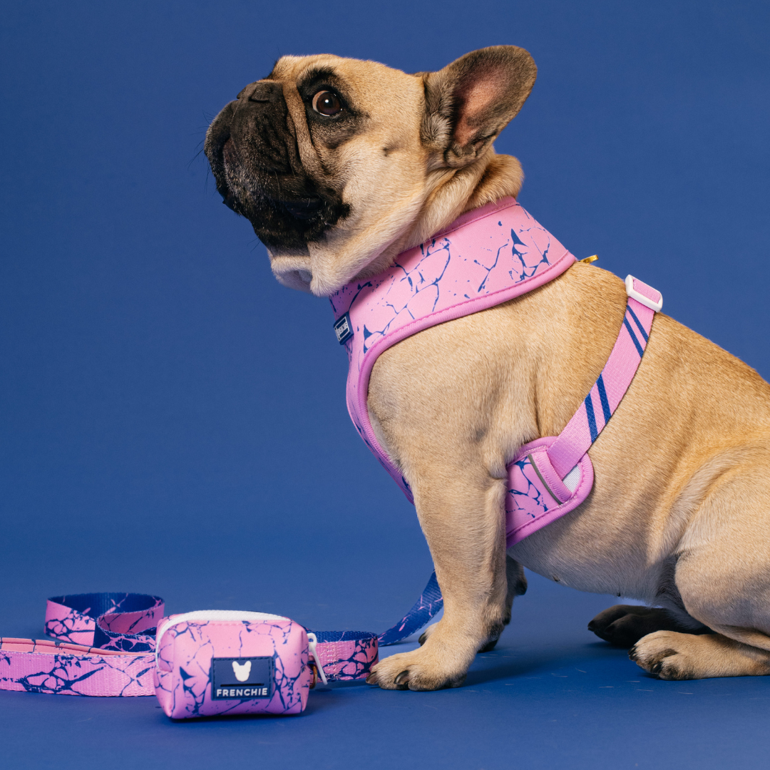 Frenchie Duo Reversible Harness - Pink Marble from Frenchie Bulldog