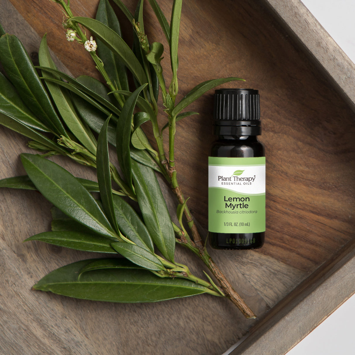 Lemon Myrtle Essential Oil from Plant Therapy