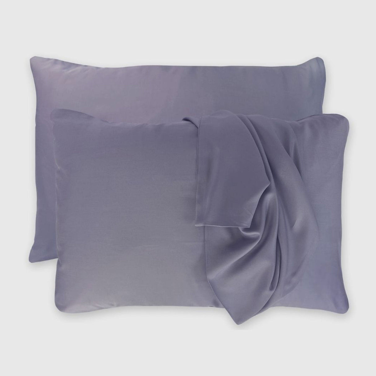 Bamboo Pillowcase Set – Platinum from BedVoyage