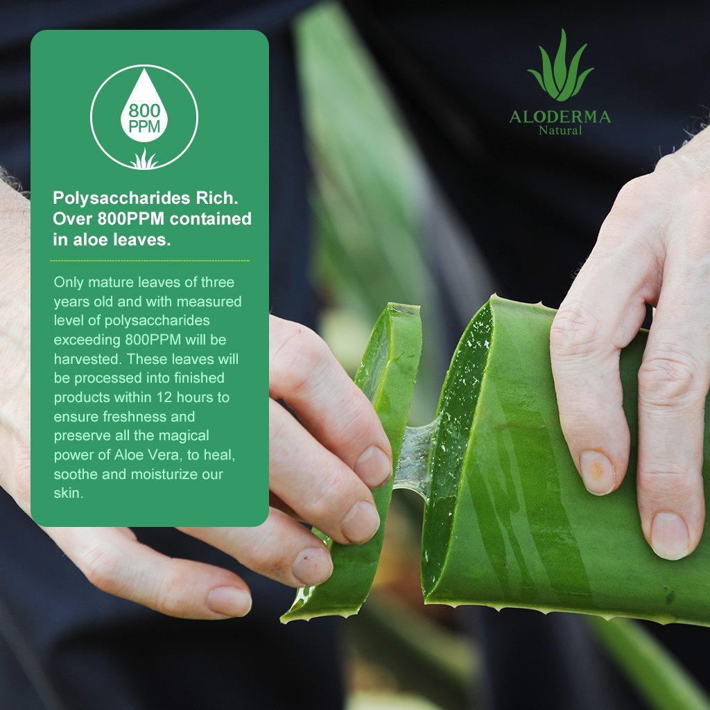 Aloe Brightening Facial Cleanser from ALODERMA