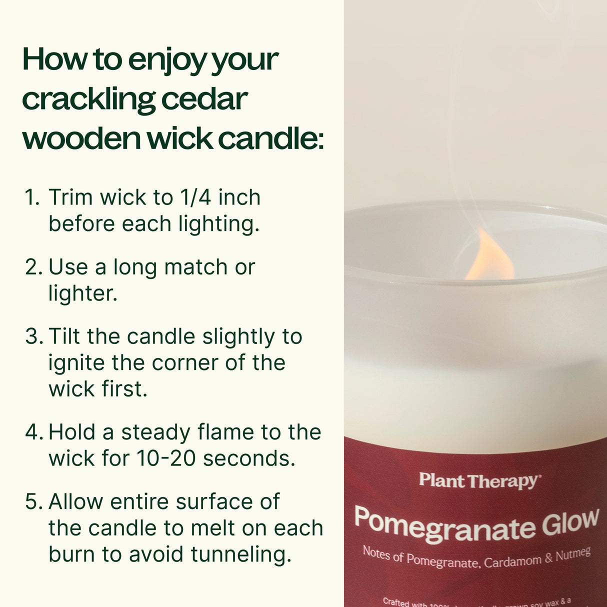 Pomegranate Glow Naturally Scented Candle from Plant Therapy