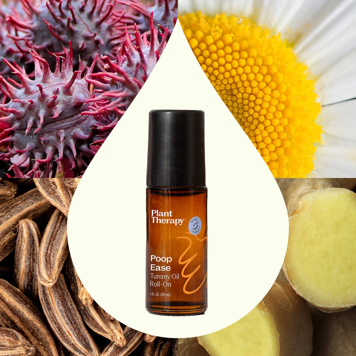 PoopEase Tummy Oil Roll-On from Plant Therapy