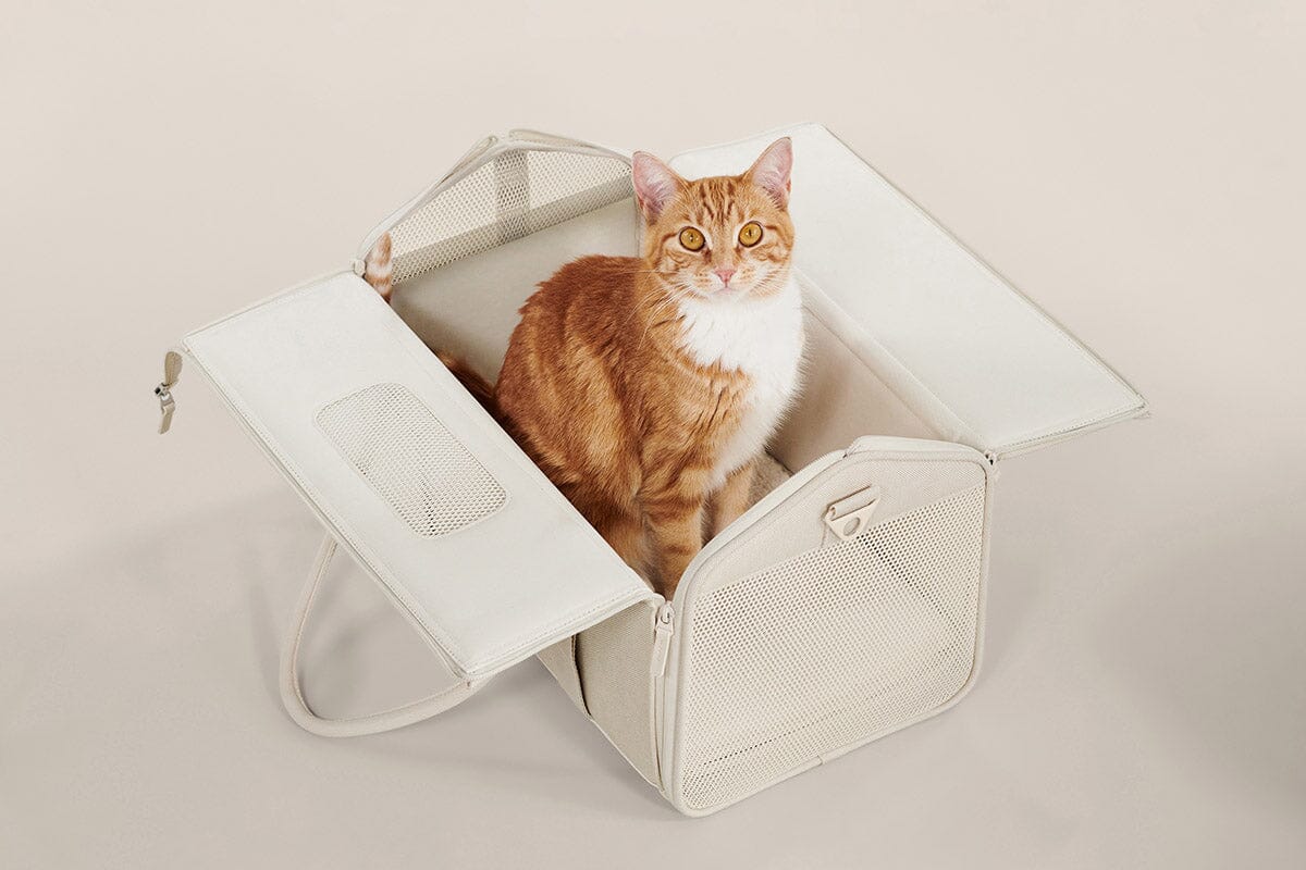Porto Cat Carrier From tuft + paw