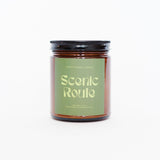Eucalyptus and Pine Candle: Scenic Route Candle from Pretty Honest Candles