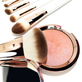 Professional Antimicrobial Brush Set  (11+)