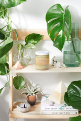 Sensitive Skin Cream with Black Seed Oil and Argan from Butter Me Up Organics