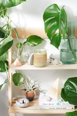 Sensitive Skin Cream with Black Seed Oil and Argan from Butter Me Up Organics