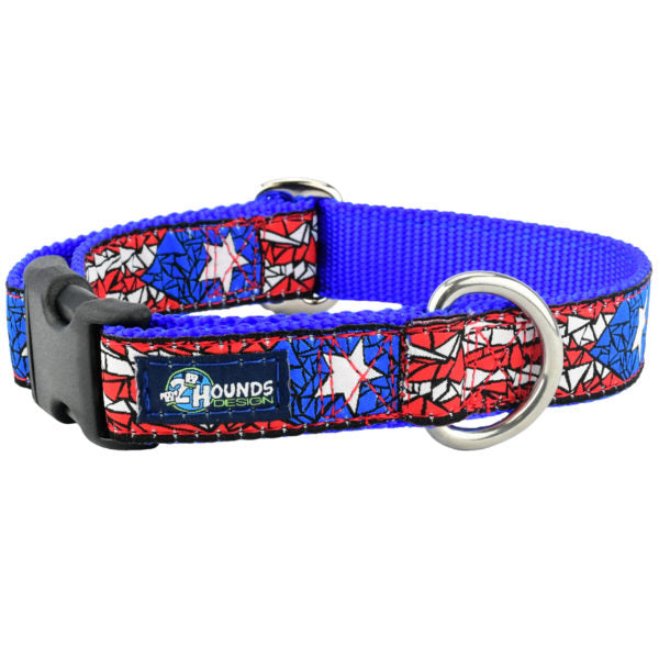 Puerto Rico Essential Martingale 1″ Dog Collar From 2 Hounds Design