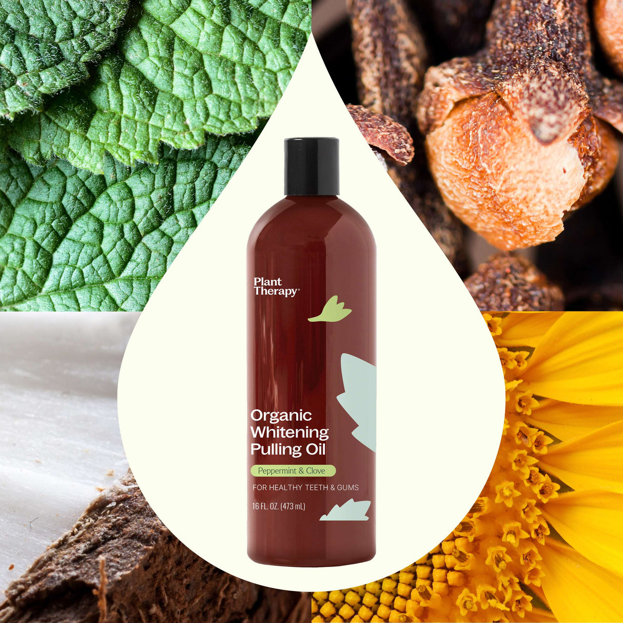 Organic Whitening Pulling Oil From Plant Therapy