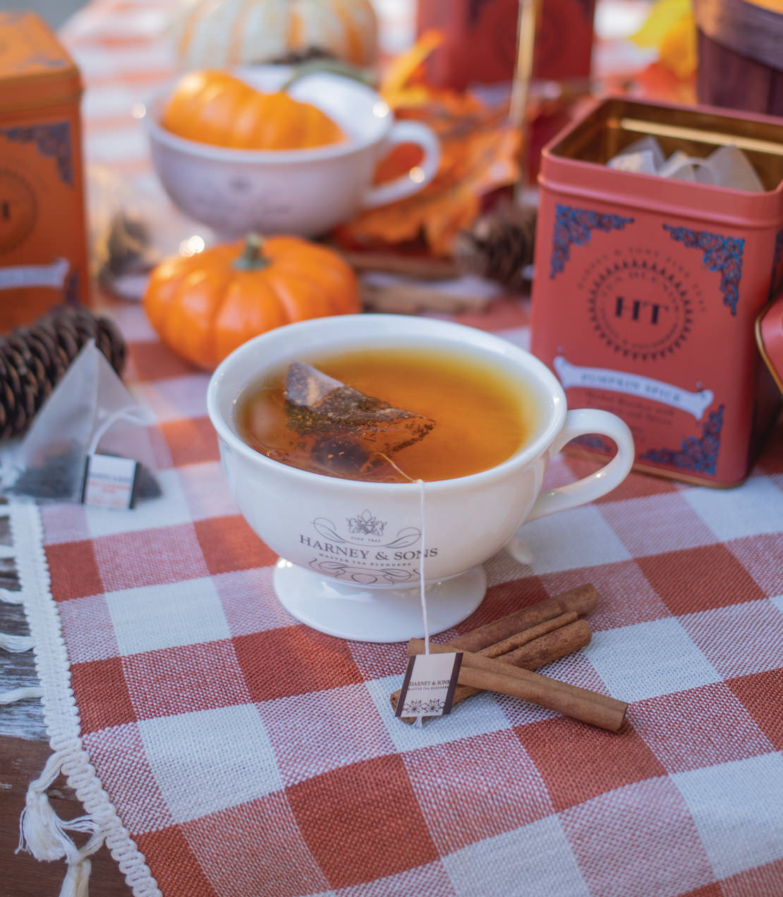 Pumpkin Spice, HT Tin of 20 Sachets from Harney & Sons Fine Teas