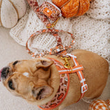 Frenchie Comfort Leash - Pumpkin Spice Latte from Frenchie Bulldog