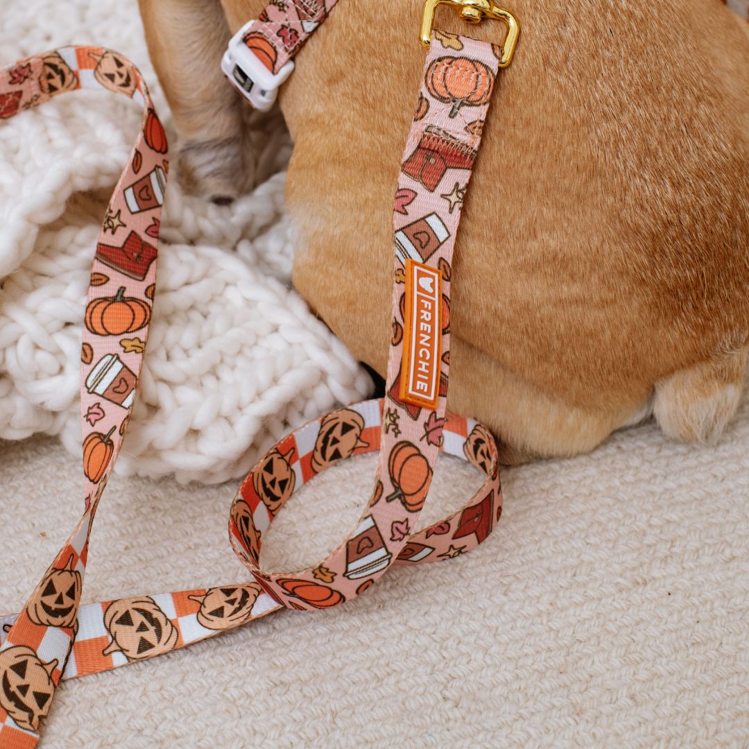 Frenchie Comfort Leash - Pumpkin Spice Latte from Frenchie Bulldog