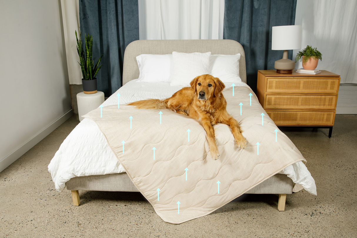 PupChill™ Cooling Waterproof Blanket - Arctic Sand from Paw.com