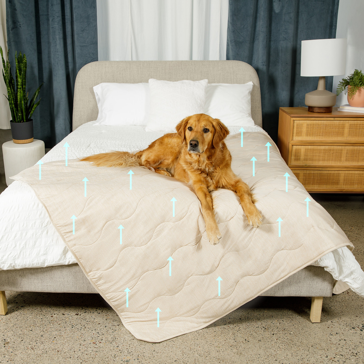 PupChill™ Cooling Waterproof Blanket - Arctic Sand from Paw.com