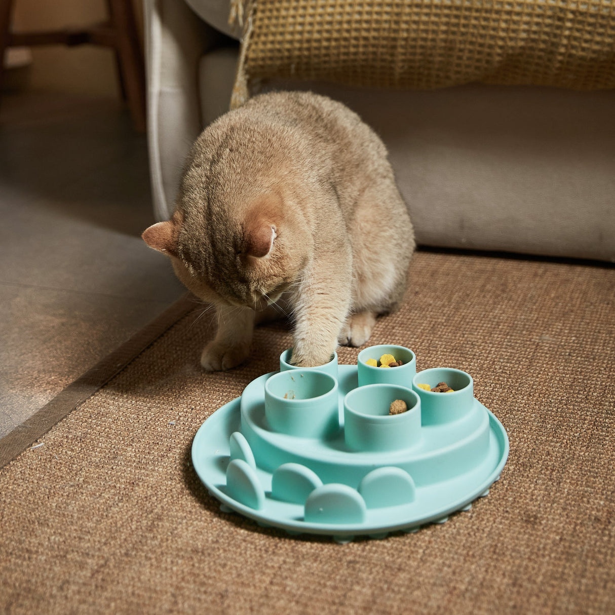 Puzzle Digger - For Cat Hunting Instinct (Lawn-Green) From PuzzleFeeder - Slower than a slow feeder