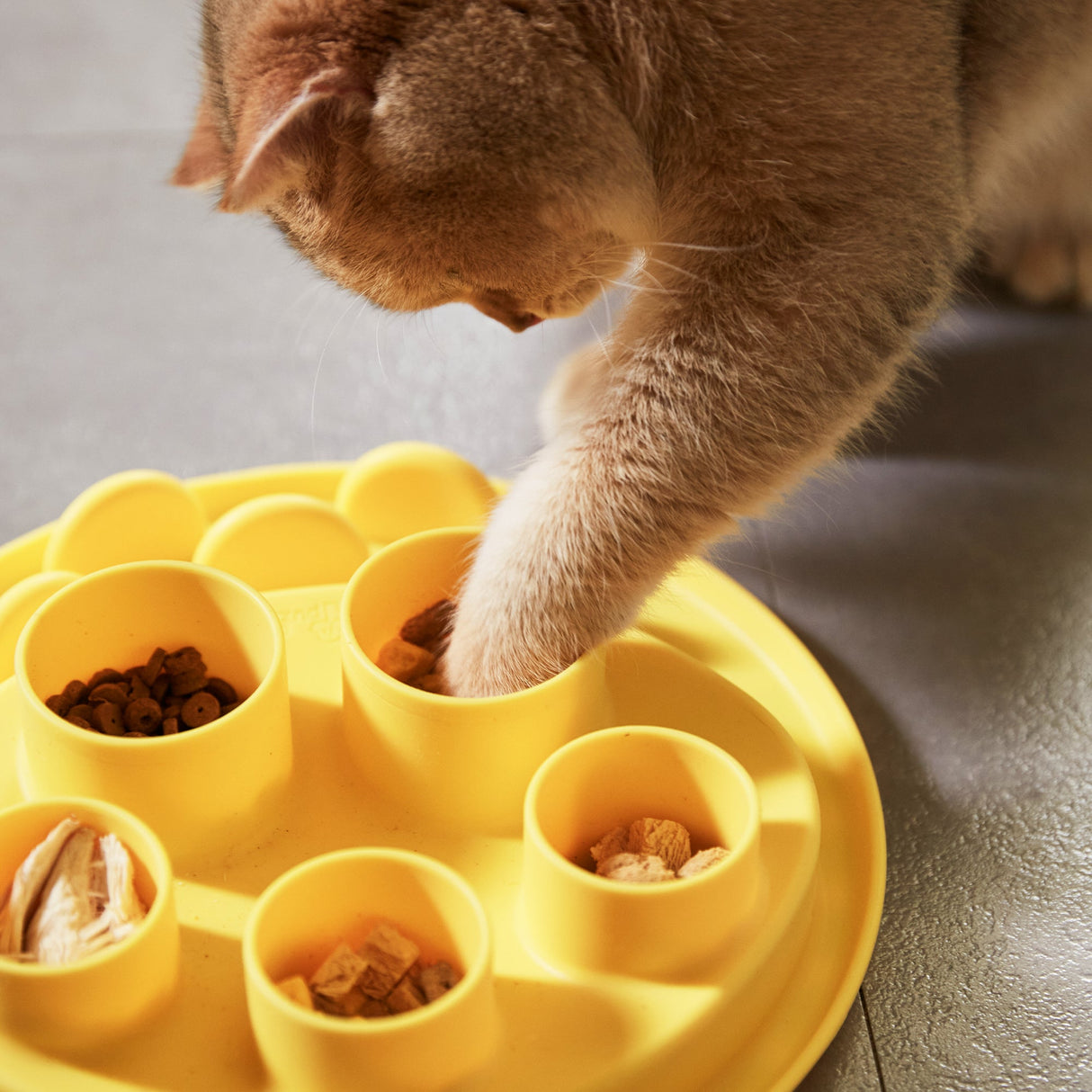 Puzzle Digger - For Cat Hunting Instinct (Wheat-Yellow) From PuzzleFeeder - Slower than a slow feeder